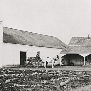 Martinelli’s Hard Cider Roots