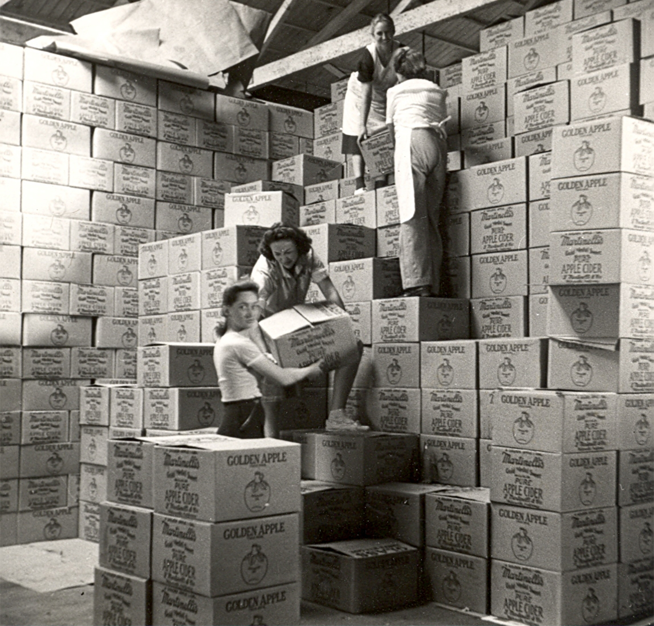 Hazel working in warehouse